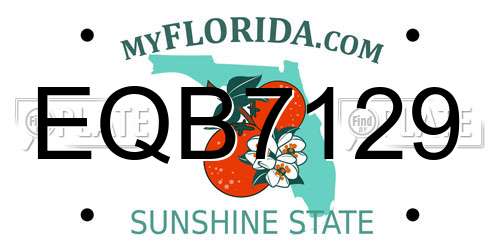 EQB7129 Florida License Plate
