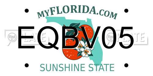 EQBV05 Florida License Plate