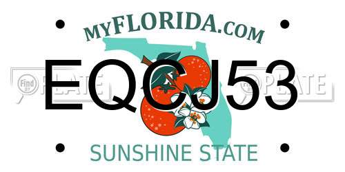 EQCJ53 Florida License Plate