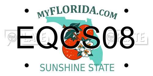 EQCS08 Florida License Plate