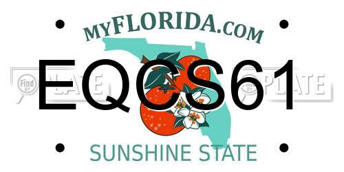 EQCS61 Florida License Plate