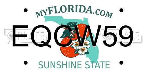EQCW59 Florida License Plate