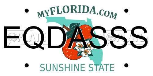 EQDASSS Florida License Plate
