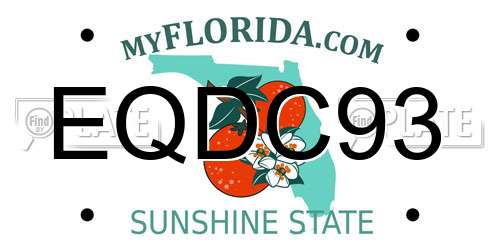 EQDC93 Florida License Plate