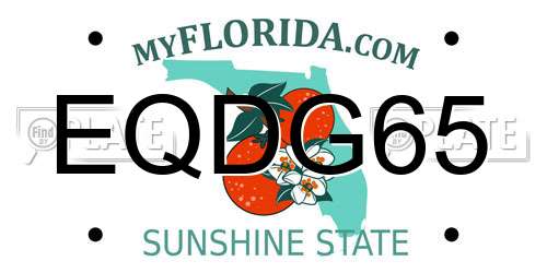 EQDG65 Florida License Plate