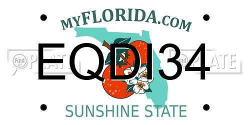 EQDI34 Florida License Plate
