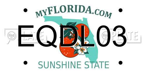 EQDL03 Florida License Plate