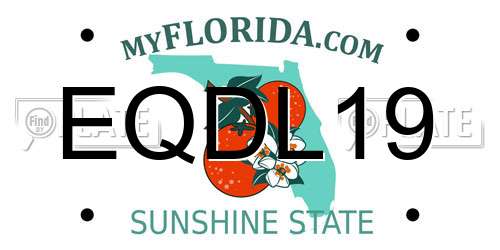 EQDL19 Florida License Plate