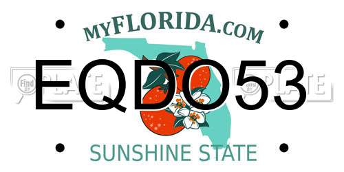 EQDO53 Florida License Plate