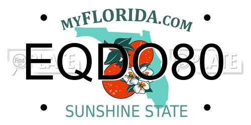 EQDO80 Florida License Plate