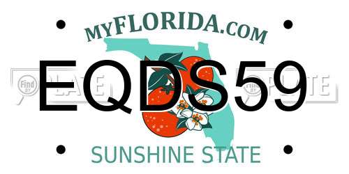 EQDS59 Florida License Plate