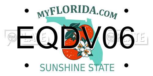 EQDV06 Florida License Plate
