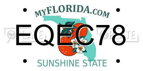 EQEC78 Florida License Plate