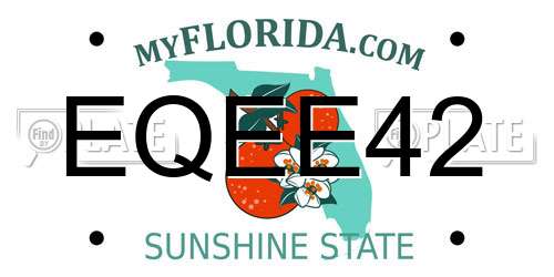 EQEE42 Florida License Plate