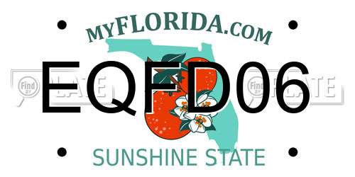 EQFD06 Florida License Plate