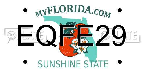 EQFE29 Florida License Plate