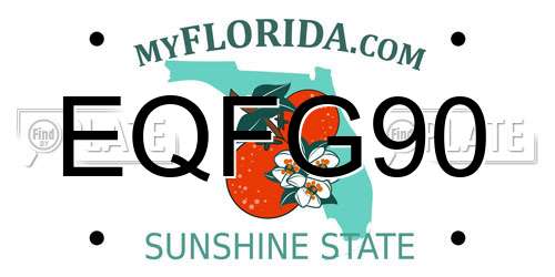 EQFG90 Florida License Plate