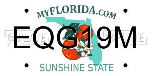EQG19M Florida License Plate