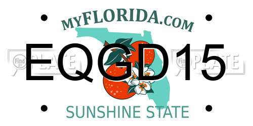 EQGD15 Florida License Plate