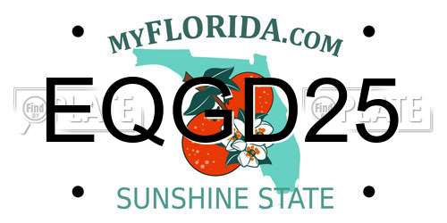 EQGD25 Florida License Plate