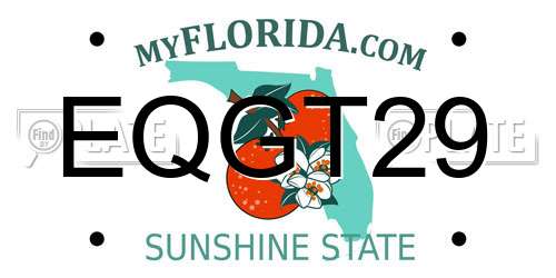EQGT29 Florida License Plate