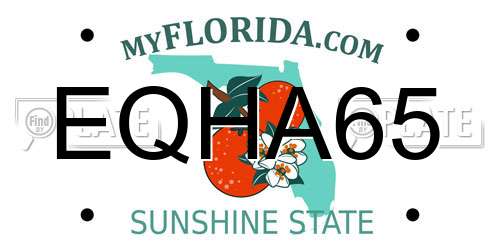 EQHA65 Florida License Plate