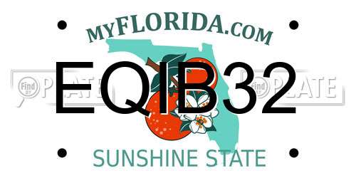 EQIB32 Florida License Plate