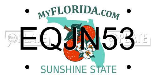 EQJN53 Florida License Plate