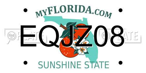 EQJZ08 Florida License Plate