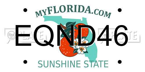 EQND46 Florida License Plate
