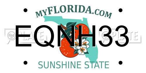 EQNH33 Florida License Plate