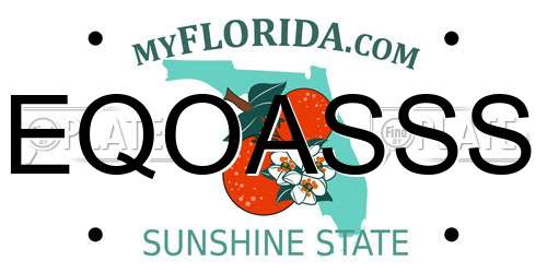 EQOASSS Florida License Plate