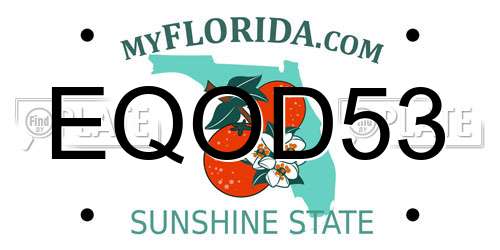 EQOD53 Florida License Plate