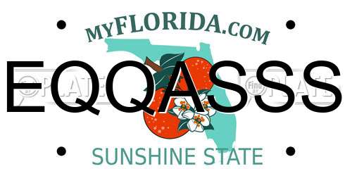 EQQASSS Florida License Plate