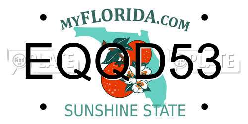 EQQD53 Florida License Plate
