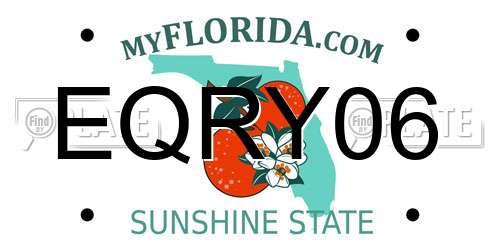 EQRY06 Florida License Plate