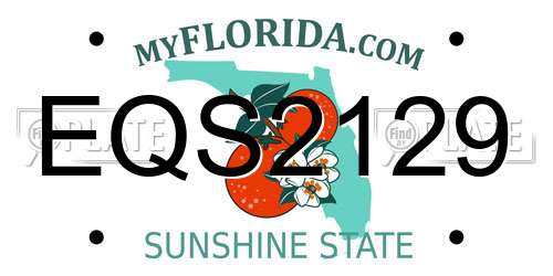 EQS2129 Florida License Plate