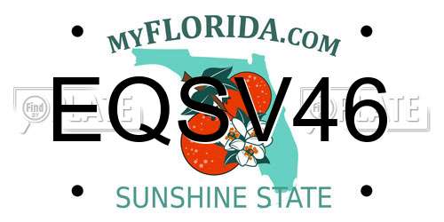 EQSV46 Florida License Plate