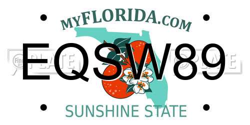 EQSW89 Florida License Plate