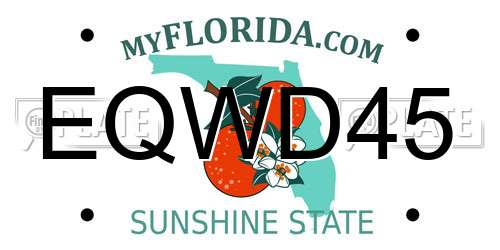 EQWD45 Florida License Plate