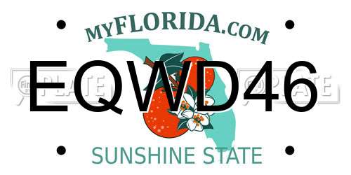 EQWD46 Florida License Plate