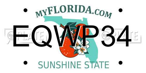 EQWP34 Florida License Plate