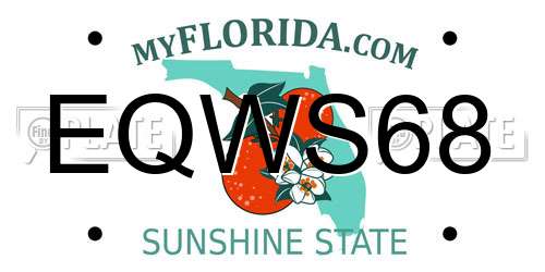 EQWS68 Florida License Plate