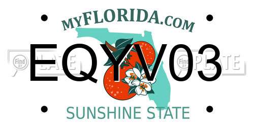 EQYV03 Florida License Plate