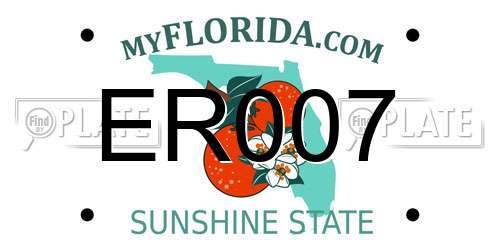 ER007 Florida License Plate