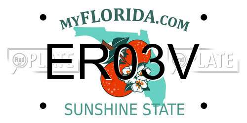 ER03V Florida License Plate