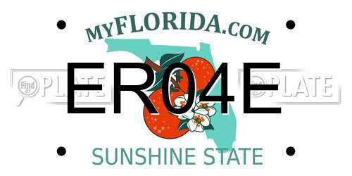 ER04E Florida License Plate