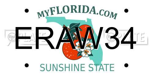 ERAW34 Florida License Plate