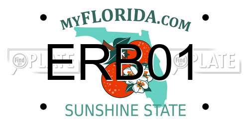 ERB01 Florida License Plate