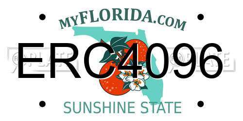 ERC4096 Florida License Plate